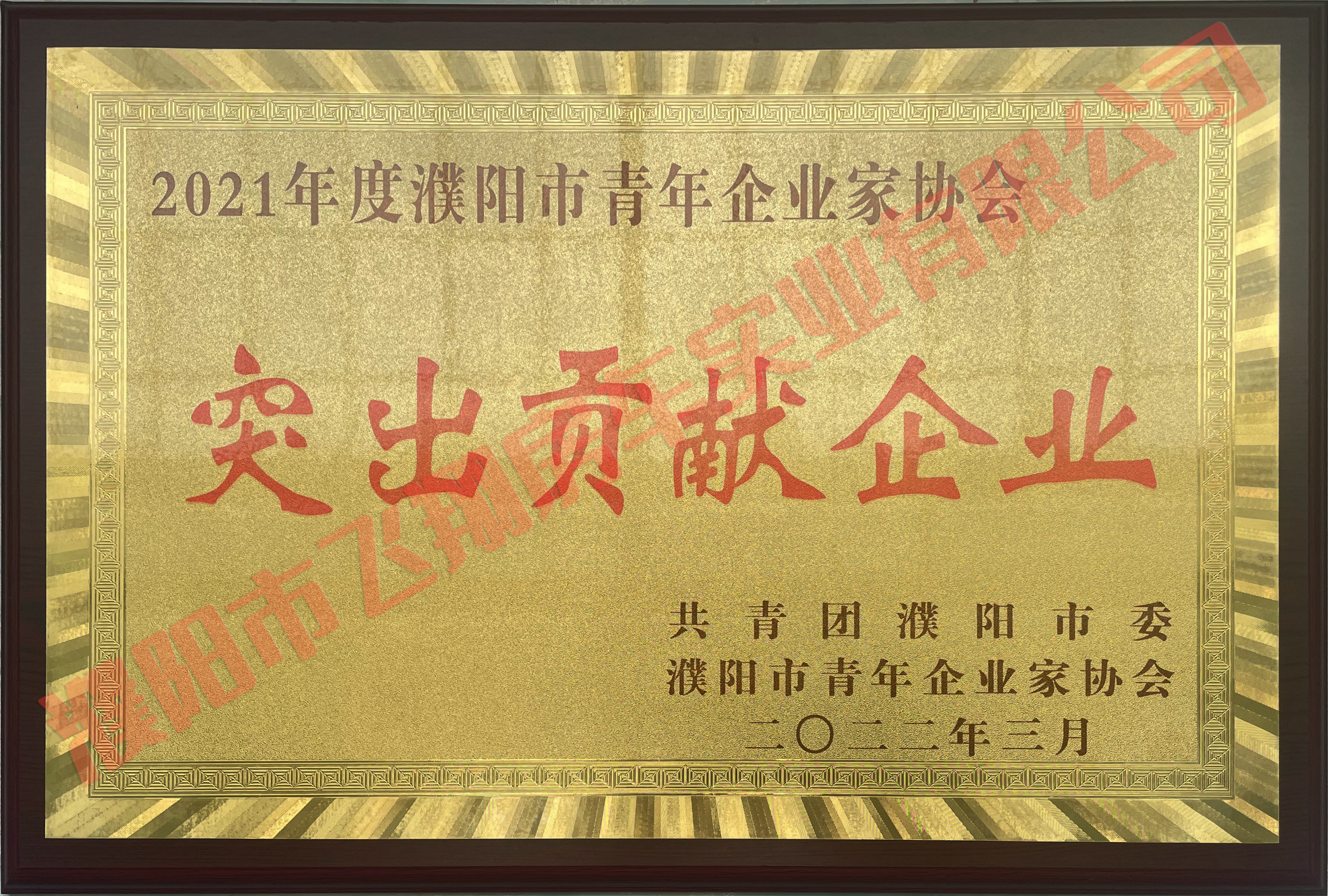 突出貢獻(xiàn)企業(yè)